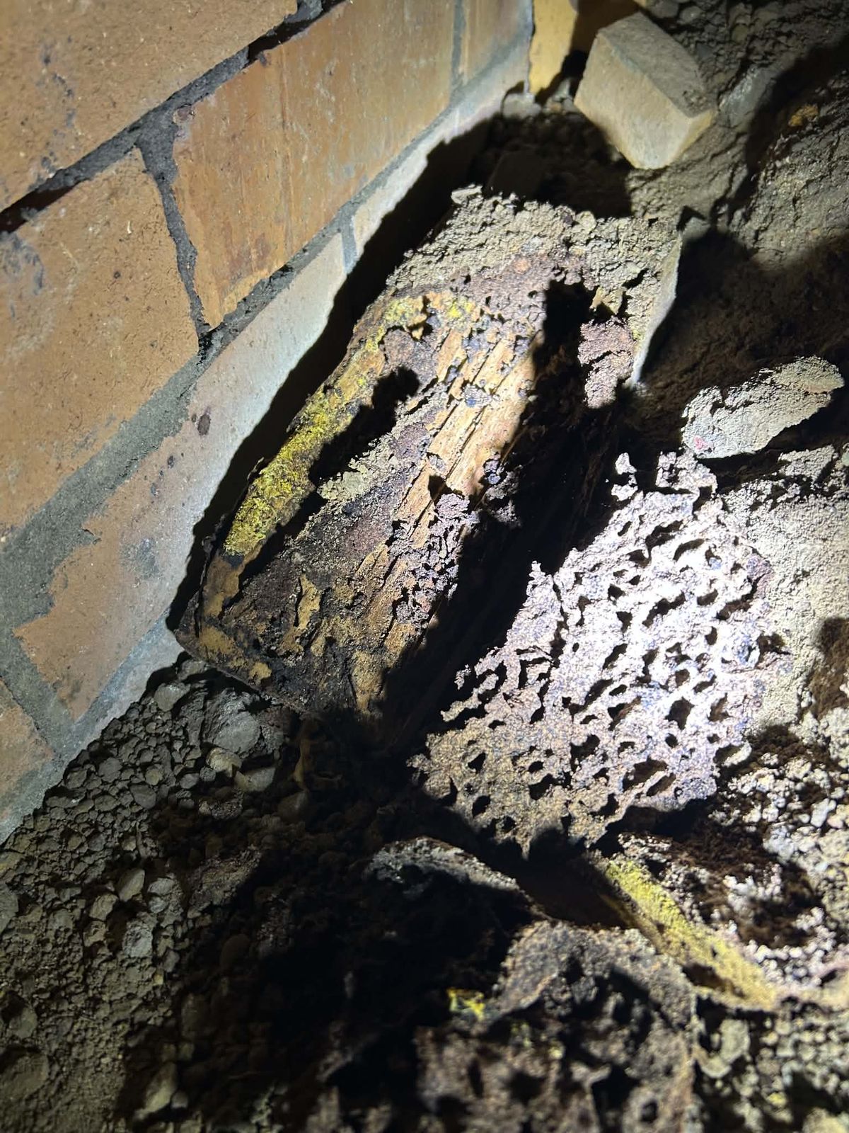 Severe termite damage found in structural timber