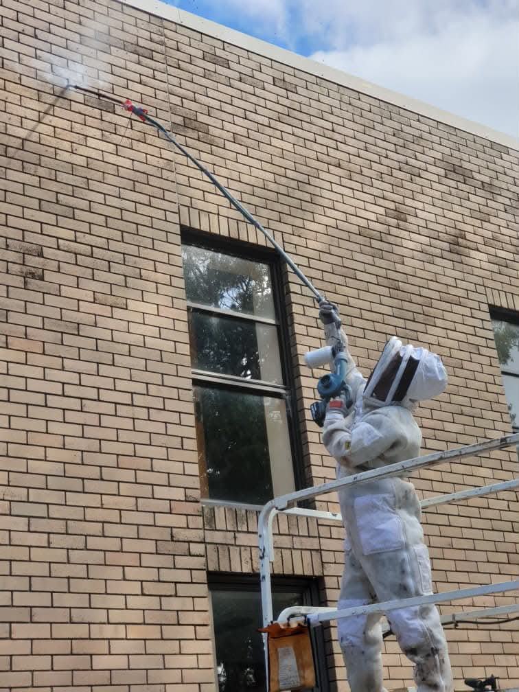 Wasp and bee work in full protective gear